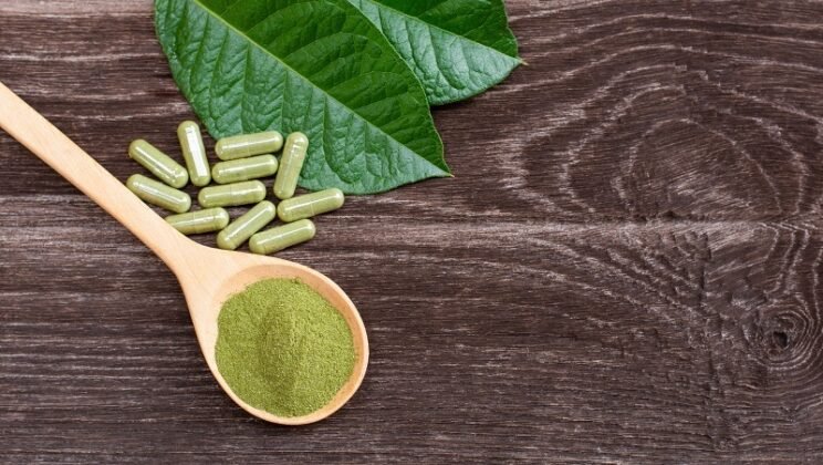 From Clicks to Customers: Turning Kratom Searches Into Sales With SEO