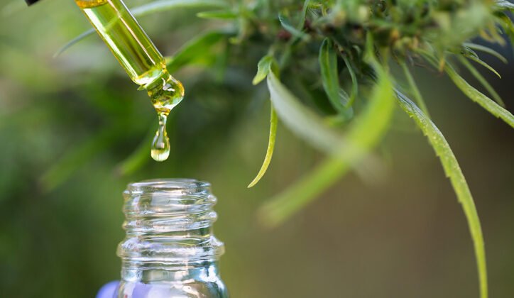 The Future of CBD SEO: Navigating Regulations, Algorithms, and Market Growth