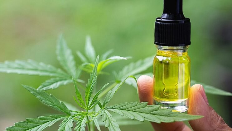 Why Google Treats CBD Websites Differently — And How SEO Levels the Playing Field