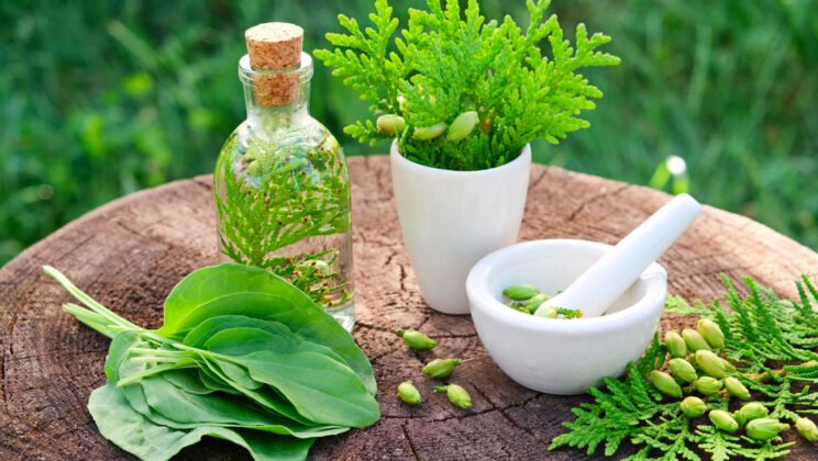 Why Content is the Core of Every Successful Alternative Medicine SEO Strategy
