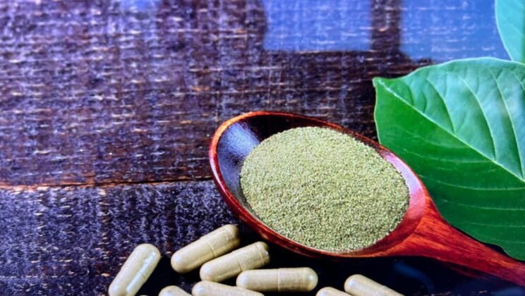 Backlinks, Trust, and Compliance: The Hidden Formula for Kratom SEO Success