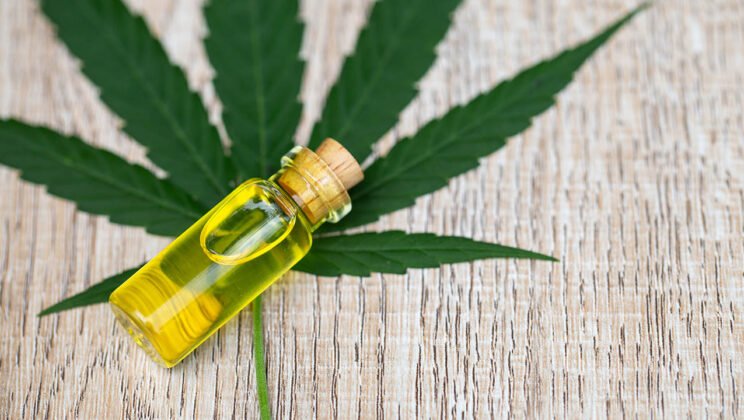Content That Converts: Writing Blog Posts That Boost CBD SEO Rankings